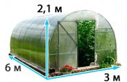 Beds in a greenhouse: rational arrangement and do-it-yourself design options Characteristic features of greenhouses